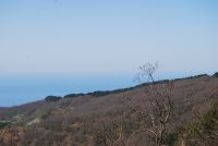 Monte cucuzzo  Aprile 2018 (19)